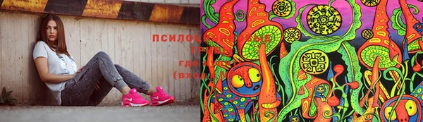 амф Медвежьегорск