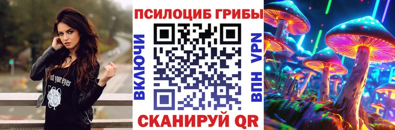даркнет сайт Павлово Псилоцибиновые грибы Psilocybe